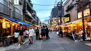 ほおずき市の浅草寺から浅草を散歩【4K東京街歩き】Japan Tokyo 4K walkingtourasakusasensoji temple [upl. by Carbone722]