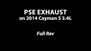 Porsche 981 Exhaust Comparison  Borla vs PSE [upl. by Jamnis]