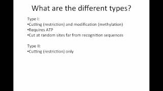 Restriction Enzymesmp4 [upl. by Rednaxela]