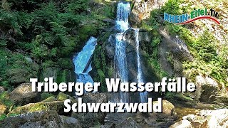 Triberger Wasserfälle  Schwarzwald  RheinEifelTV [upl. by Eahsram]