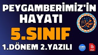 5Sınıf Peygamberimizin Hayatı SİYER 1Dönem 2Yazılı Soruları ve Çözümü � Çıkabilir 😊 [upl. by Ellocin]