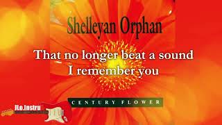 The Silent Day  Shelleyan Orphan  Karaoke  Instrumental [upl. by Kciredec]