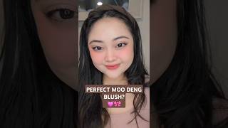 Perfect Moo Deng Blush  Dear Me Airy Liquid Blush  by AURA [upl. by Oruam236]