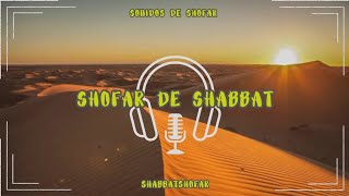 Escucha el shofar en shabbat 😌  Porción Koraj  ShabbatShofar [upl. by Ahtiekahs]