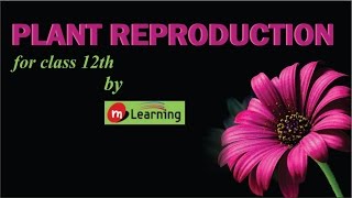 PLANT REPRODUCTION  1 For Class 12th and AIPMT [upl. by Maguire]