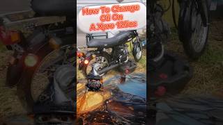 How To Change Oil On A Xpro 125cc Cafe Cruiser ☕️ [upl. by Severen]