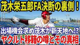 【楽天ファン衝撃！】茂木栄五郎FA行使！移籍先にヤクルト浮上の理由とは？ [upl. by Siuol]