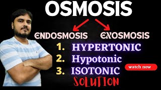 GCSE Biology  Osmosis 8 [upl. by Isyad]