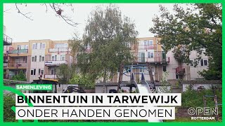 Actie in Tarwewijk Binnentuin onder handen genomen na jarenlange achterstand  SAMENLEVING [upl. by Adriana]