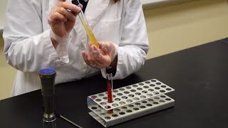 How to Inoculate a Slant  MCCC Microbiology [upl. by Sydney]