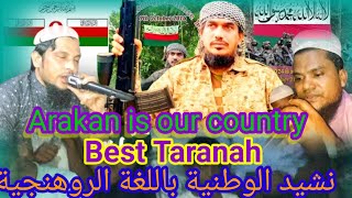 Wotone Halate Taranah Kawal Sodu Vs Kawal Islam Kawal Mv Sodu Official Channel With vlogs Viral [upl. by Cristine]