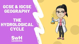 The Hydrological Cycle  GCSE amp IGCSE Geography [upl. by Anelhtac321]