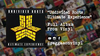 Undivided Roots  Ultimate Experience FULL Album from Vinyl [upl. by Tavia125]