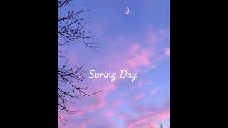 Spring Day by BTS springday bts shorts feed lyrics [upl. by Yerffoj350]