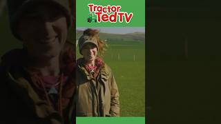 Come Bye 🐶 NEW Tractor Ted Episode Out Now tractorted Comebye shorts [upl. by Washington]