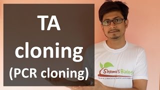 TA Cloning PCR cloning [upl. by Annair]