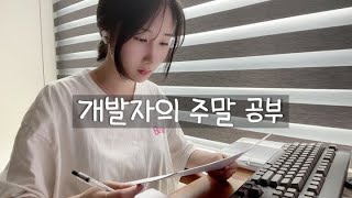 VLOG 직장인 개발자의 자기개발 루틴 주말 브이로그  판교 대기업  네카라쿠배  서버 개발자  IT 회사  프로그래머  코딩  백엔드 [upl. by Dor879]