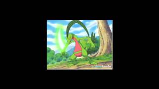 Treeko Evolves into Grovyle [upl. by Emmalynn]