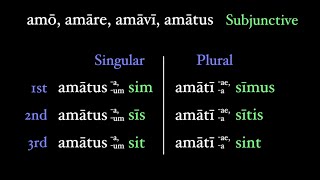 The Perfect Passive Subjunctive [upl. by Washington127]