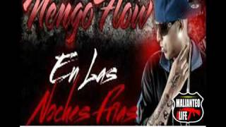 Ñengo Flow Nova y Jory  En las Noches Frias Remix Estreno 2011 [upl. by Eveiveneg584]