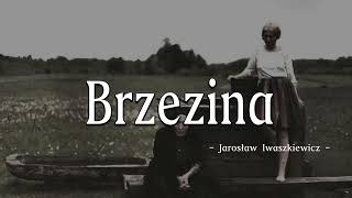 Brzezina 1988  Jarosław Iwaszkiewicz [upl. by Gnay]