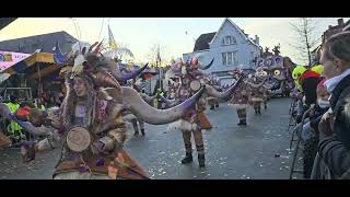 AKV De Schoitkitten Opwijk carnaval 2024 [upl. by Coletta468]