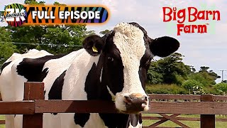 Big Barn Farm  Season 1 Episode 15  Recycling Proficiency Test [upl. by Enram]