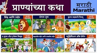 प्राण्यांच्या कथा  सिंह आणि उंदीर  जंगल बुक  Animal Stories in Marath Fairy Tales [upl. by Miahc]