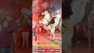 mariagealgerien mariaged اعراسجزائرية wedding follow [upl. by Yrreb545]