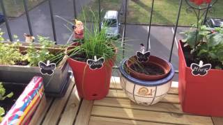 Un MINI POTAGER sur un MINI BALCON urbain [upl. by Demakis]