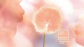 PANTONE 131023 Peach Fuzz the Pantone Color of the Year 2024 [upl. by Leak]