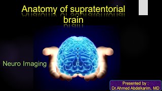 1Anatomy of the supratentorial brain [upl. by Margalo]