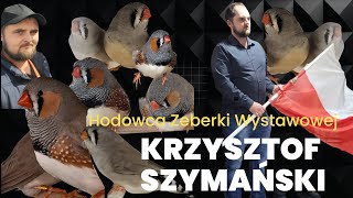 Wirtualny Hodowca odc12Krzysztof SzymańskiZeberka Wystawowa [upl. by Eimorej440]