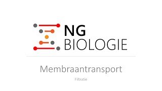 Membraantransport  Filtratie  HAVOVWO Biologie [upl. by Ysset]