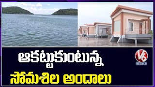 Special Report On Somasila Project  Telangana Tourism  V6 News [upl. by Ettennil]