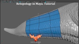 Como hacer Retopologia en Maya Retopology in Maya Tutorial [upl. by Brodench242]