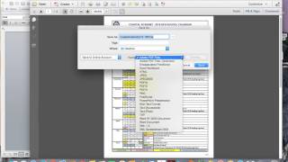 How to Convert and Insert a Multipage Pdf in to a Word Doc [upl. by Llerdnam]