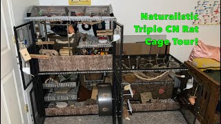 Naturalistic Triple Critter Nation Rat Cage Tour [upl. by Nobe653]