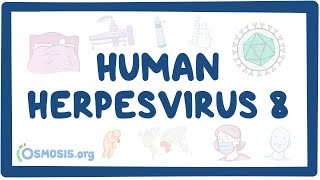 Human herpesvirus 8 Kaposis sarcoma  an Osmosis Preview [upl. by Mozelle]