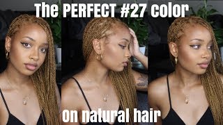 Black to Honey Blonde  How to Get the Perfect 27 Color On Natural Hair [upl. by Ttimme961]