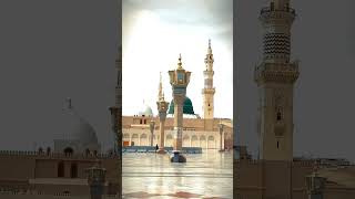 Hadees sharif facts arvoice islamicfigure youtubeshortsvideo islamic [upl. by Artair]