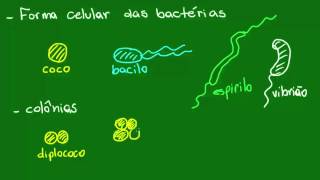 Formas da célula bacteriana  Diversidade dos Seres Vivos  Biologia [upl. by Maxim]