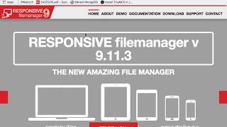 1702 08 30 tinymce responsive file manager [upl. by Wehtta]