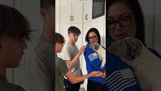 Surprising the Twins with a rescue puppy they named him Brunoquot puppy rescue love subscribe [upl. by Mascia846]