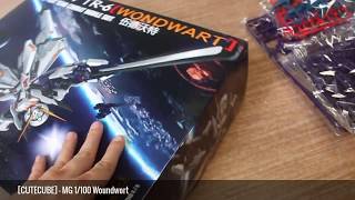 UNBOXING  PART PREVIEW CUTECUBE  MG 1100 Woundwort [upl. by Manson]