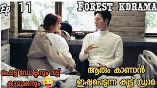 He accidentally love with his childhood crush🥰മലയാളത്തിൽ ആദ്യമായി forest kdrama explanation [upl. by Mailli200]