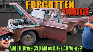 Will This FORGOTTEN Dodge Drive 350 Miles After Sitting 40 Years [upl. by Westfahl]