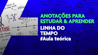 Anotações de estudo 11 Linha do tempo [upl. by Laniger]