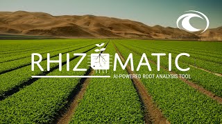 Rhizomatic  AIPowered Root Analysis amp Characterization Tool [upl. by Wilfreda]