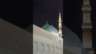 প্রাণেরে মদিনা নতুন newvideo love dinislam [upl. by Bowne160]